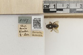Media type: image;   Entomology 792468 Aspect: Labels